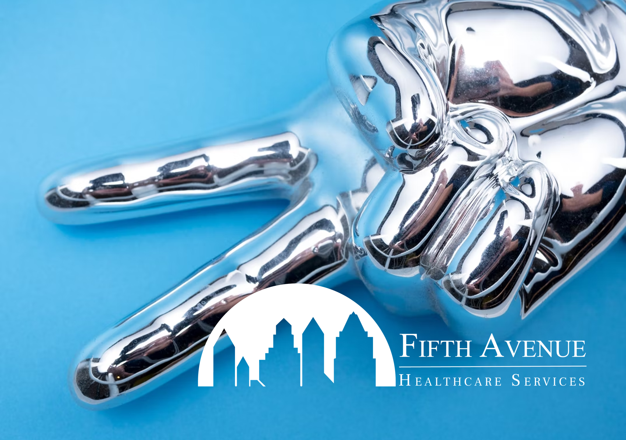Fifth Avenue Healthcare Services Award Winner